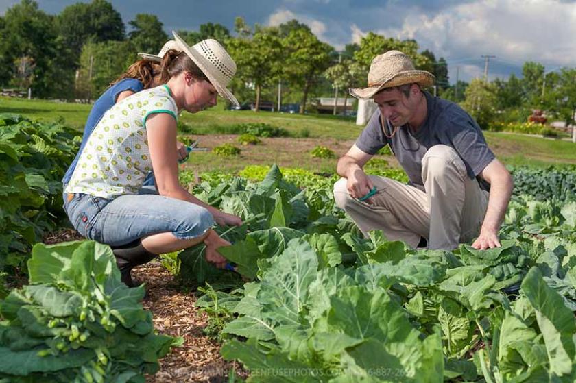 REGIONE TOSCANA Premio di primo insediamento per avvio di nuove imprese condotte da giovani agricoltori