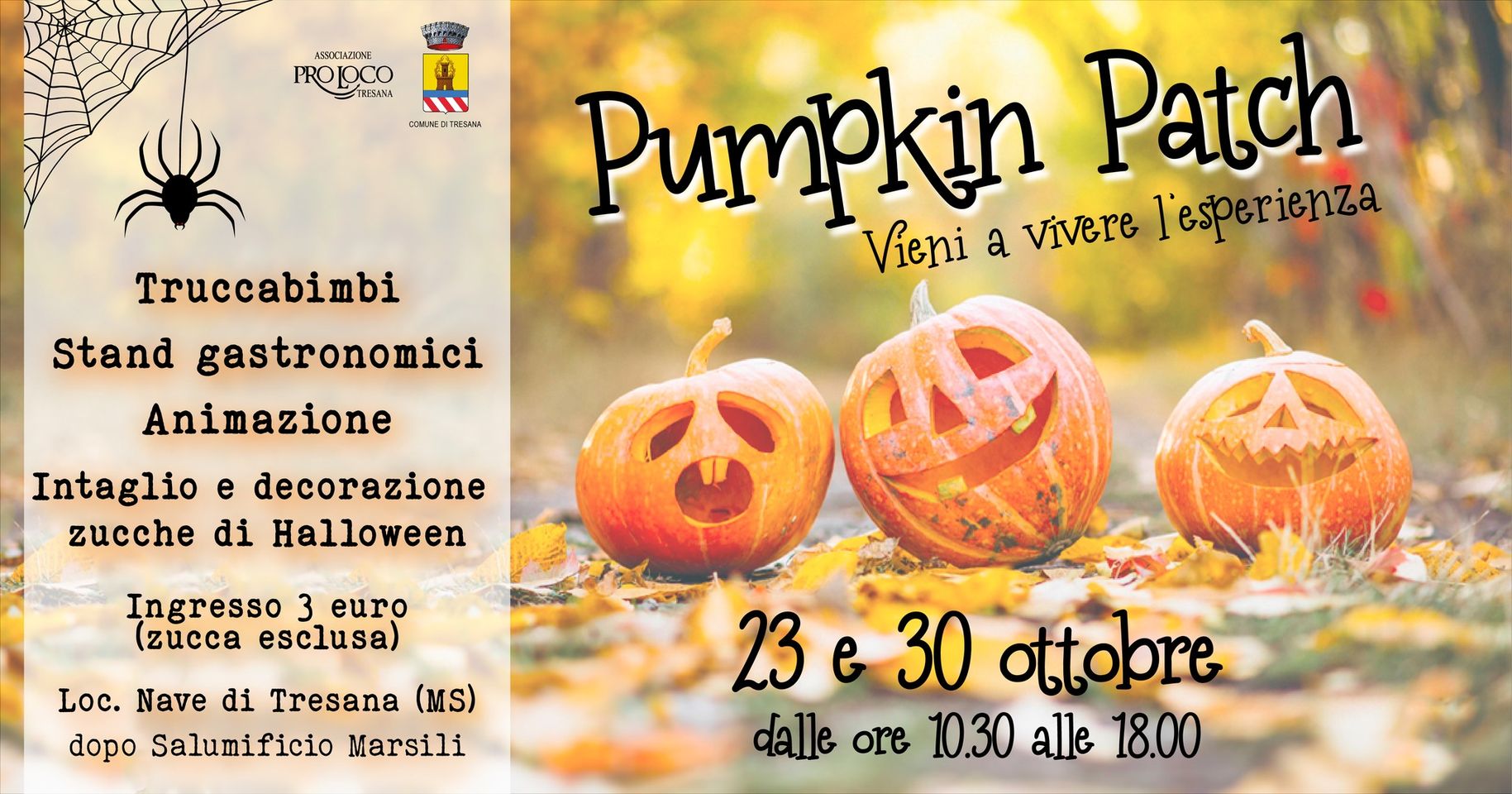 𝐏𝐮𝐦𝐩𝐤𝐢𝐧 𝐏𝐚𝐭𝐜𝐡! 🎃 23 - 30 ottobre 2022