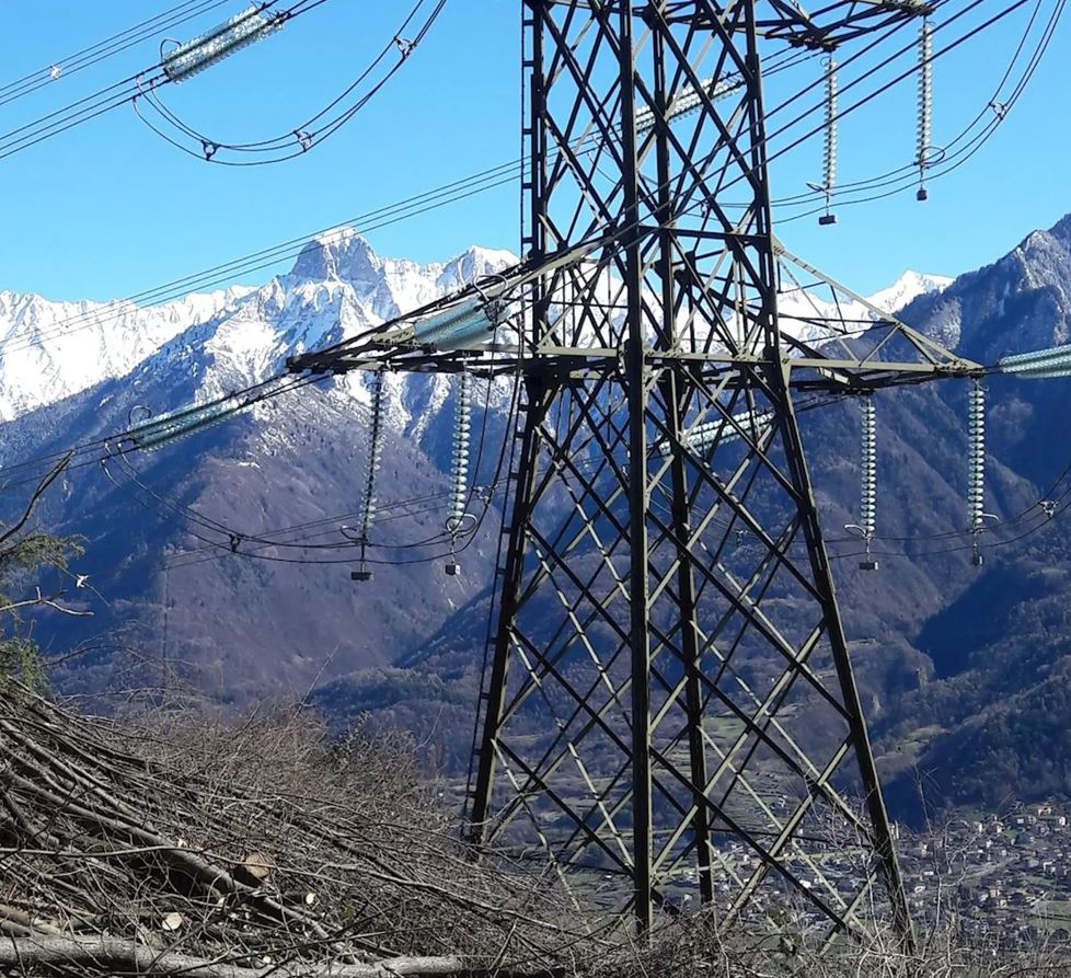 Lavori di taglio, deramificazione piante lungo linee elettriche